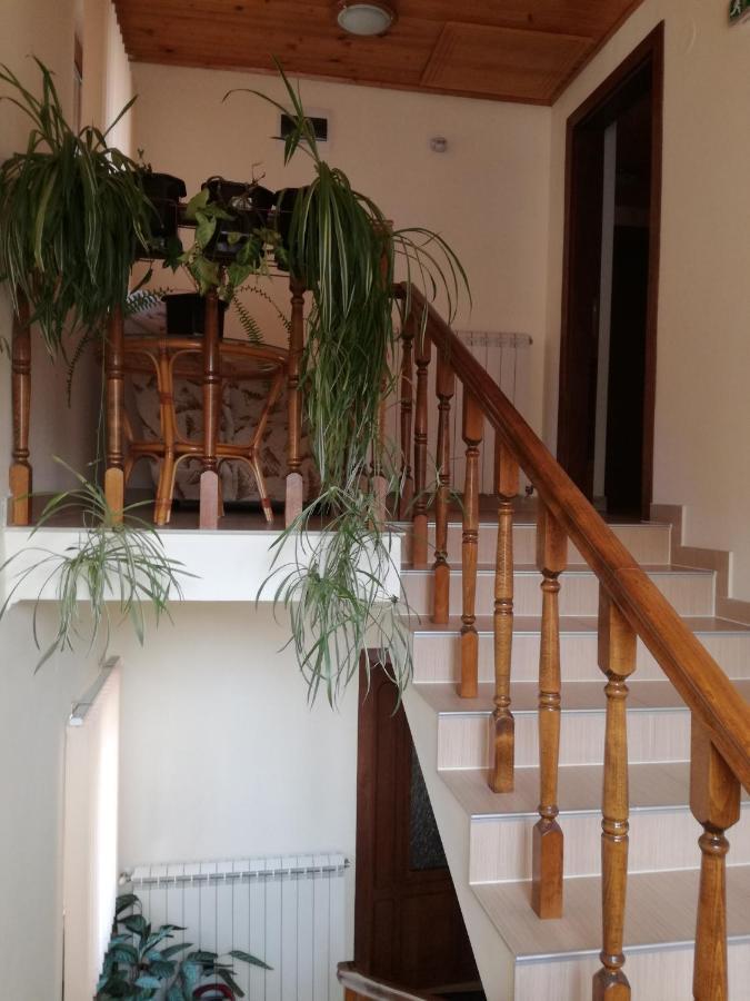Guest House Benita เดวิน ภายนอก รูปภาพ