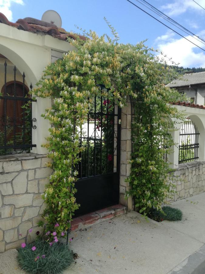 Guest House Benita เดวิน ภายนอก รูปภาพ