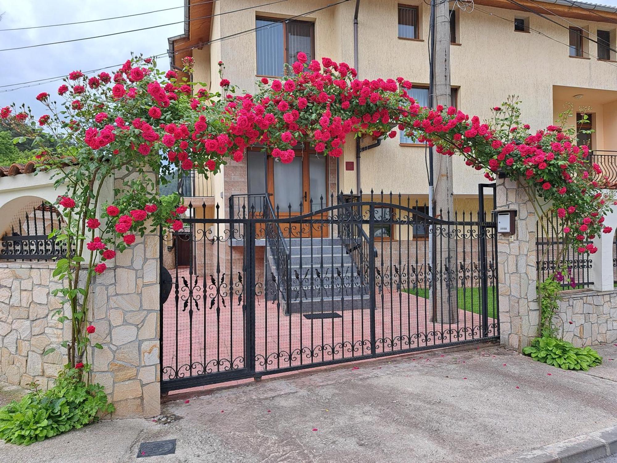 Guest House Benita เดวิน ภายนอก รูปภาพ