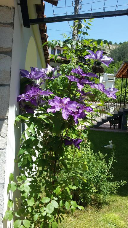 Guest House Benita เดวิน ภายนอก รูปภาพ