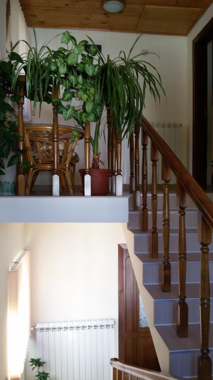 Guest House Benita เดวิน ภายนอก รูปภาพ